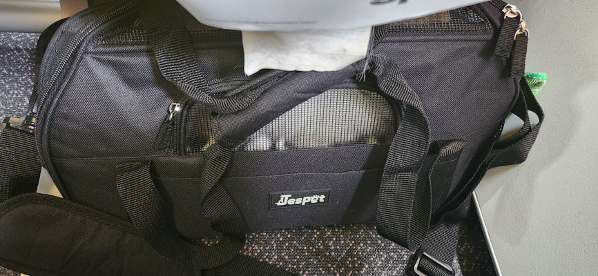 Kazoo In the Airplane